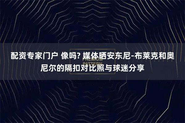 配资专家门户 像吗? 媒体晒安东尼-布莱克和奥尼尔的隔扣对比照与球迷分享