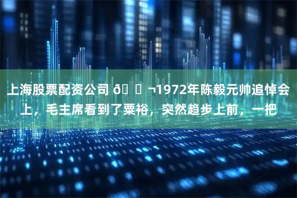 上海股票配资公司 🌬1972年陈毅元帅追悼会上，毛主席看到了粟裕，突然趋步上前，一把