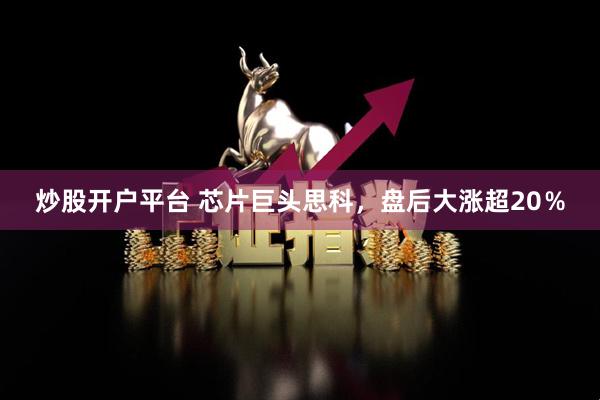 炒股开户平台 芯片巨头思科，盘后大涨超20％