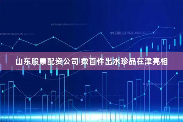 山东股票配资公司 数百件出水珍品在津亮相