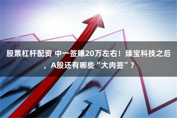 股票杠杆配资 中一签赚20万左右！臻宝科技之后，A股还有哪些“大肉签”？